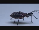 ［閲覧注意!!］再編集　ヨコヅナサシガメ（幼虫）にハニーワームを与えてみた。 (Agriosphodrus dohrni)