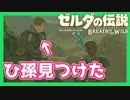 【ゼルダの伝説BotW】バクダンで大体のことは解決する大冒険 part23【実況】