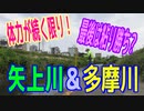 釣り動画ロマンを求めて 336釣目（矢上川＆多摩川）