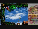 【RTA】 スーパードンキーコング２　All Life Balloons（スワンキーのクイズ無）1:01:56