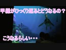 【こうなるのか】甲羅がひっくり返るとどうなる？【タートルトーク】東京ディズニーシー
