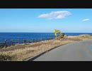 【車載】冬のサンセットパームラインを野田浜までドライブ2019【伊豆大島】
