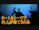 【また？】タートルトークで外人が当てられる【タートルトーク】東京ディズニーシー