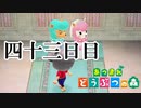 【実況】夫婦の写真を撮ろう【あつまれ どうぶつの森】四十三日目