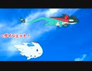 ガラルを翔けるAnimaLibera