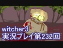 探し人を求めてwitcher3実況プレイ第232回
