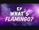 What is Flamingo?