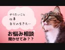 無駄なことに悩むのは辞めてしまおう　#キクタのお悩み相談