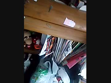 画質で字が……