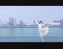 【桜九】アイロニ【踊ってみた】
