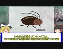【ゆっくり解説】生きた化石