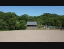 やしろの森公園空中散歩 6月-1