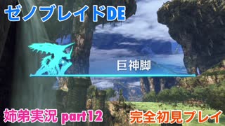 □■ゼノブレイドDEを初見実況プレイ part12【姉弟実況】