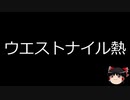 【ゆっくり朗読】ゆっくりさんと不思議な病気 その198