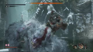 SEKIRO:SHADOWS DIE TWICE(隻狼)初見実況part25