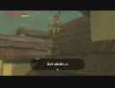 依頼を受けて、ハテノ村のトンプー亭の屋根の上からツキミさんと会話をしてみた