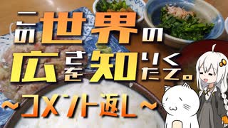 この世界の広さを知りたくて。～コメント返し～【紲星あかり車載】