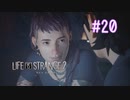 【実況】あー無性に兄弟愛#20【Life is Strange 2】