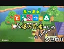 【あつまれどうぶつの森】カブで億万長者を目指す男＃八週間目