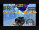 車好きのチョロQHG実況！Part13