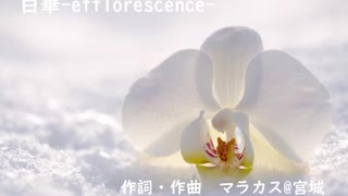 【初音ミクNT】白華-efflorescence-【オリジナル】