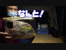 【腐ってる？】遂にあの食材を使ってしまった！車検2年付10万の車で初車中泊