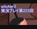 探し人を求めてwitcher3実況プレイ第233回