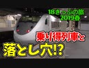 【迷列車の旅】青春18きっぷの乗り得列車と落とし穴?【18きっぷ2019春三日目終電編】