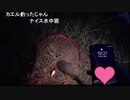 06.11 【魚釣り】土手-2