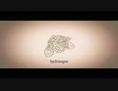 hydrangea / oиɘ:pair (N!coCo& Nokiq Ra66it)