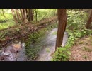 村島弘之