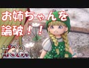 ドラクエ11【初見】#38 ブラックでもホワイトでもない羽〇さん？