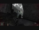 【S.T.A.L.K.E.R. Anomaly Beta 3.0】vs プロジェクションズ 前編 | モノリス戦争研究所