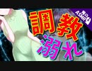 【ASMR】（男性向け）狙った獲物は逃さない！策士なヤンデレお姉さんとの監禁飼育生活（調教）（ご主人様）（ペット）（メンヘラ）（シチュボ）（イヤホン推奨）(Japanese　ASMR)