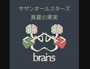 【平成の名曲をアレンジ】サザンオールスターズ / 真夏の果実 [歌/演奏/アレンジ by brains™]