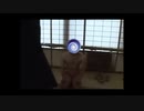 甲殻類のゆっくりシージ mp4