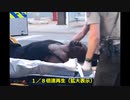 【考察】『ジョージフロイド事件』の謎～担架で運ばれたのは＜誰＞か