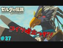 【続編決定記念】のんびりと伝説「ゼルダの伝説～ブレスオブザワイルド～」　＃37
