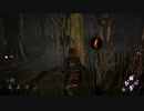 長期戦ドクターとDBD９