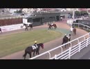 2020年6月10日 門別競馬9R パドック