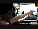 Re:birth/Acid Black Cherry ギターソロ弾いてみた