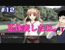 【かたわ少女】俺の初恋愛ゲームがこんなに重いわけがない#12【067】