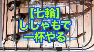 【七輪】ししゃもで一杯やる