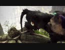 人喰いの大鷲トリコ実況プレイpart12