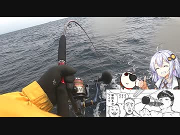 なんちゅ～か1番＃16　イワシの泳がせ