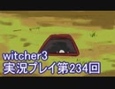 探し人を求めてwitcher3実況プレイ第234回