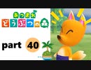 【あつまれどうぶつの森】無人島の覇者【実況】part40