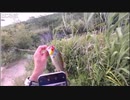 06.12 【魚釣り】夜までひまつぶし