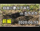 【2020.06.13】 カラオケで自由に歌ってみた。 【前編】