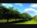 2020年06月12日1枠目　片倉城跡公園 探索散歩